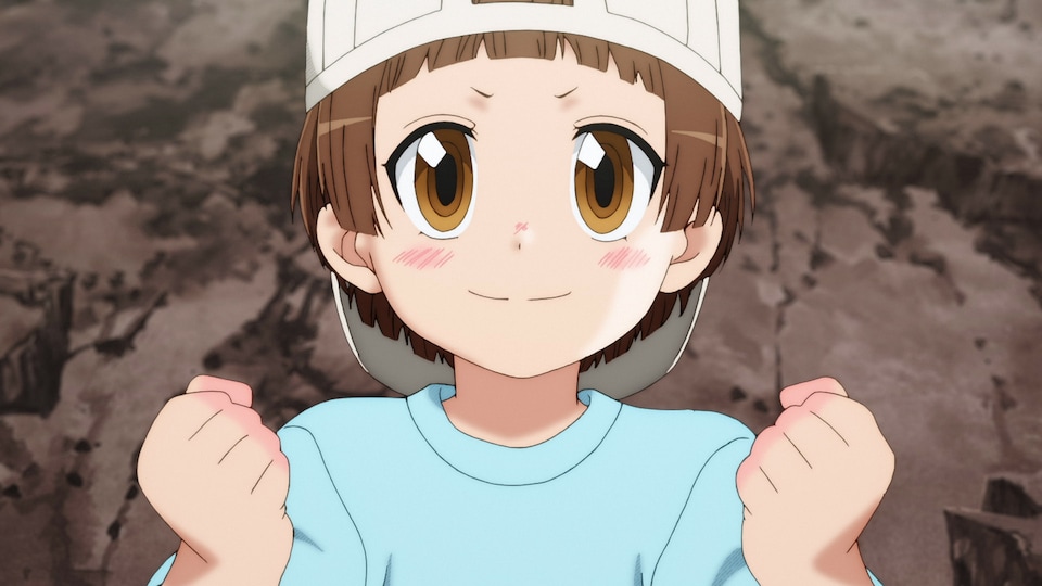 はたらく細胞 あらすじ