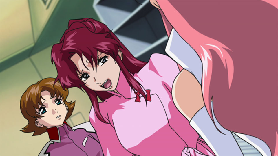 機動戦士ガンダムSEED あらすじ 人間の葛藤
