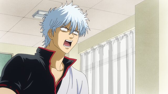 学園アニメ おすすめ 銀魂