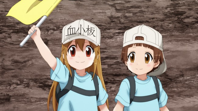 はたらく細胞 あらすじ 血小板